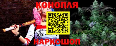 спиды Заводоуковск
