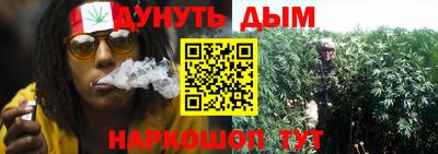 спиды Заводоуковск