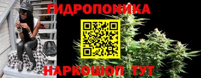 спиды Заводоуковск