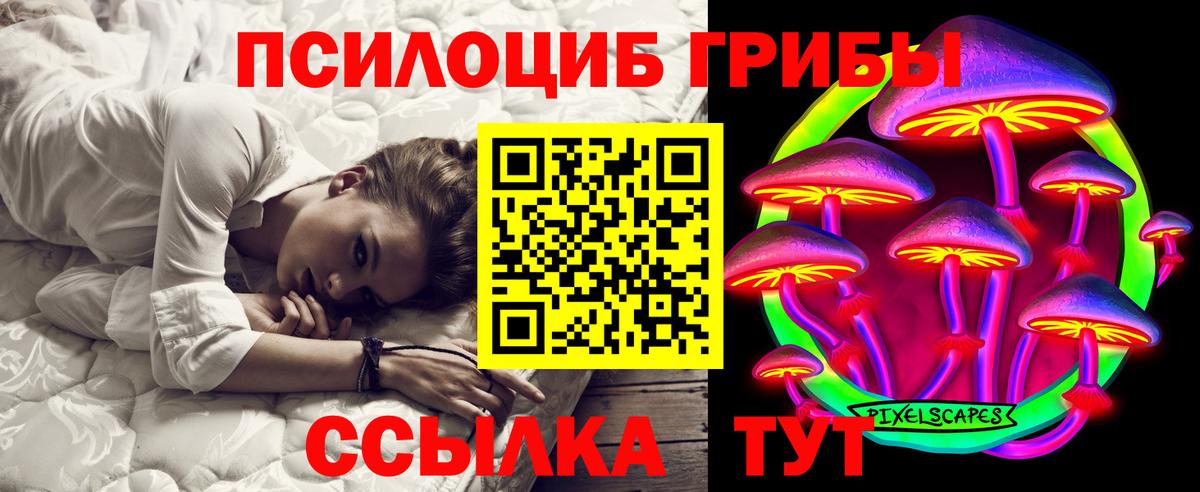 Галлюциногенные грибы Psilocybe Феодосия